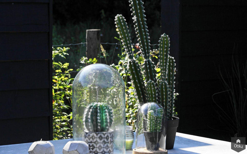 Moderne tuin in het groen-Stoop Tuinen-alle,Tuinen-OBLY
