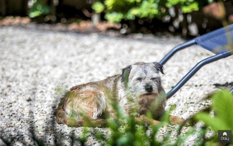 Moderne tuin met beton-look overkapping-Stoop Tuinen-alle,Tuinen-OBLY