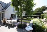 Moderne tuin met zwembad-Stoop Tuinen-alle,Exterieur-OBLY