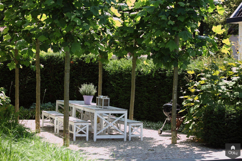 Moderne tuin met zwembad-Stoop Tuinen-alle,Exterieur-OBLY