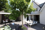 Moderne tuin met zwembad-Stoop Tuinen-alle,Exterieur-OBLY