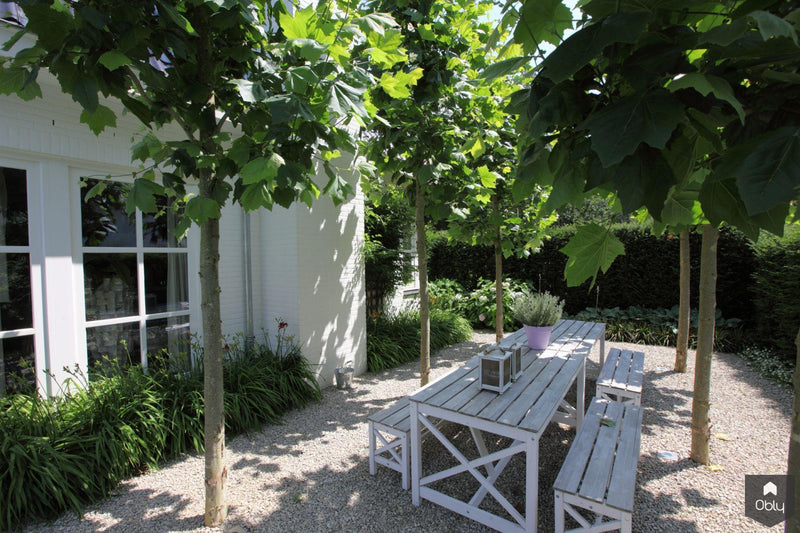Moderne tuin met zwembad-Stoop Tuinen-alle,Exterieur-OBLY