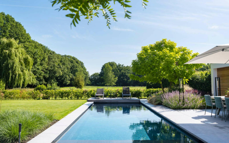Moderne tuin met zwembad in het landschap-Stoop Tuinen-tuin-Moderne tuin met zwembad in het Brabants landschap-OBLY