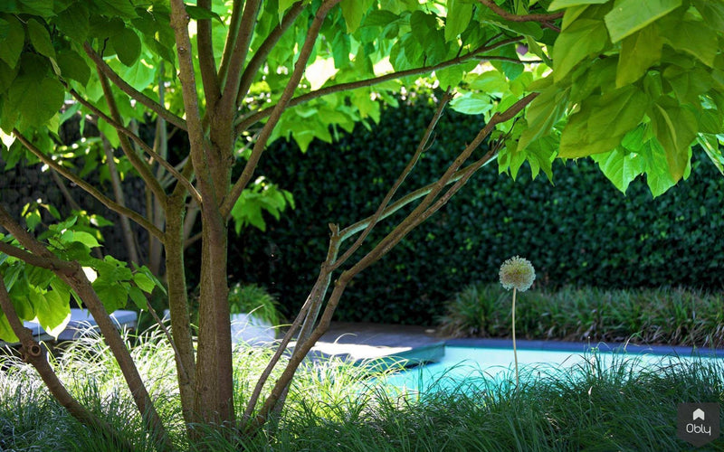 Moderne tuinarchitectuur in luxe tuin-Stoop Tuinen-alle,Tuinen-OBLY