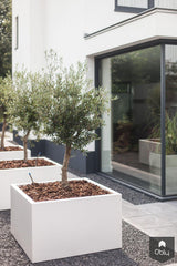 Moderne villa, Wijchen-Bob Romijnders Architectuur - Interieur-alle,Exterieur vrijstaand-OBLY