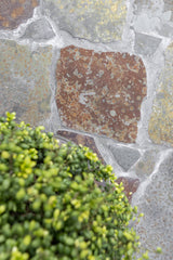 Multicolour flagstones roest-tint-Van den Heuvel & Van Duuren-Tuin-Multicolour flagstones met roest-tinten-OBLY