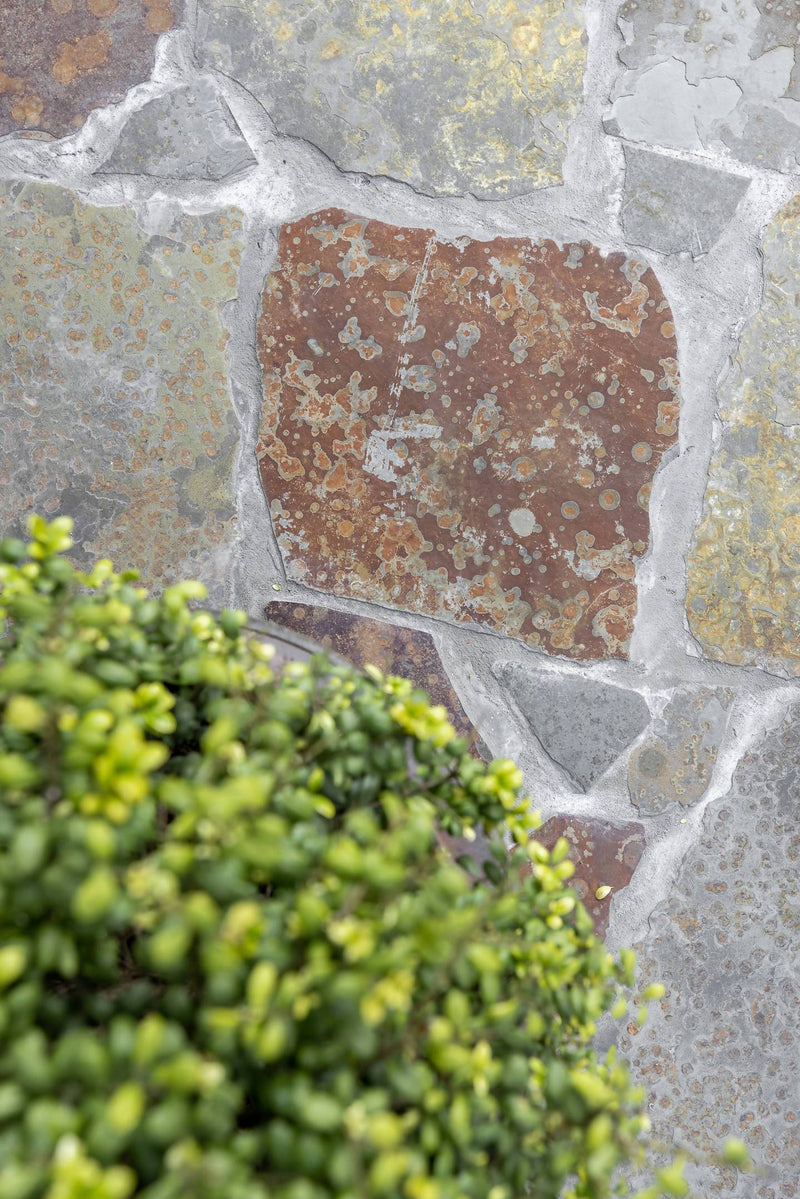 Multicolour flagstones roest-tint-Van den Heuvel & Van Duuren-Tuin-Multicolour flagstones met roest-tinten-OBLY
