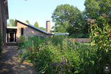 Natuurlijke tuin met vaste planten-Jeroen Hamers Tuin- en Landschaparchitect-alle,Tuinen-OBLY