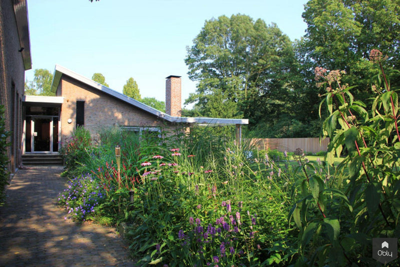Natuurlijke tuin met vaste planten-Jeroen Hamers Tuin- en Landschaparchitect-alle,Tuinen-OBLY