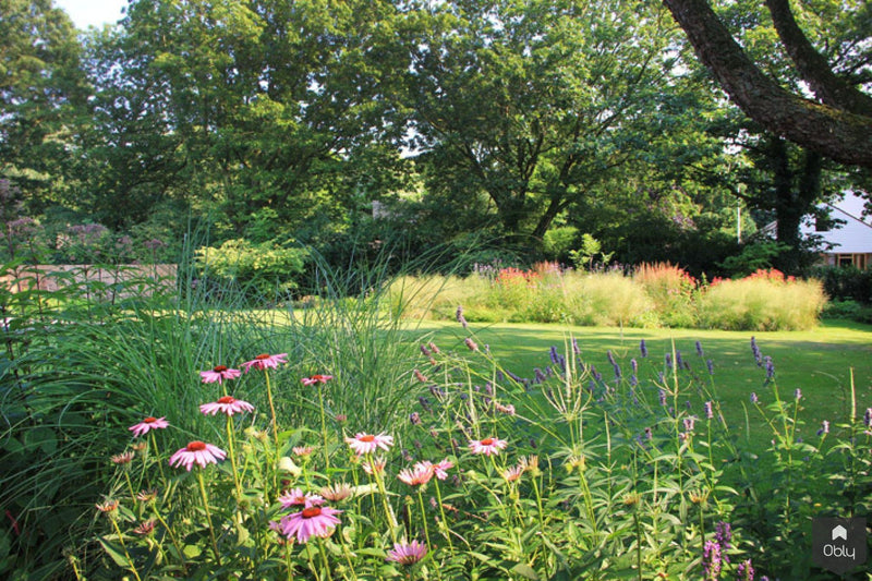 Natuurlijke tuin met vaste planten-Jeroen Hamers Tuin- en Landschaparchitect-alle,Tuinen-OBLY