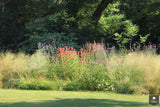 Natuurlijke tuin met vaste planten-Jeroen Hamers Tuin- en Landschaparchitect-alle,Tuinen-OBLY