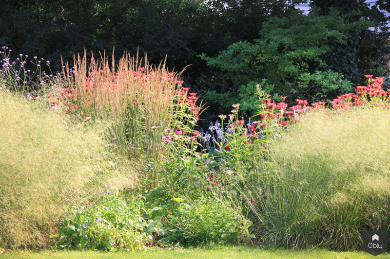 Natuurlijke tuin met vaste planten-Jeroen Hamers Tuin- en Landschaparchitect-alle,Tuinen-OBLY