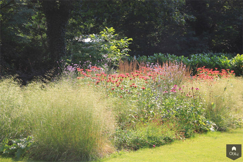 Natuurlijke tuin met vaste planten-Jeroen Hamers Tuin- en Landschaparchitect-alle,Tuinen-OBLY