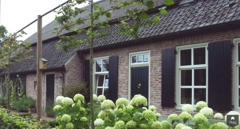 Nieuwbouw traditionele boerderij-Architectenbureau Drijvers Oisterwijk B.V.-alle, Exterieur vrijstaand-OBLY
