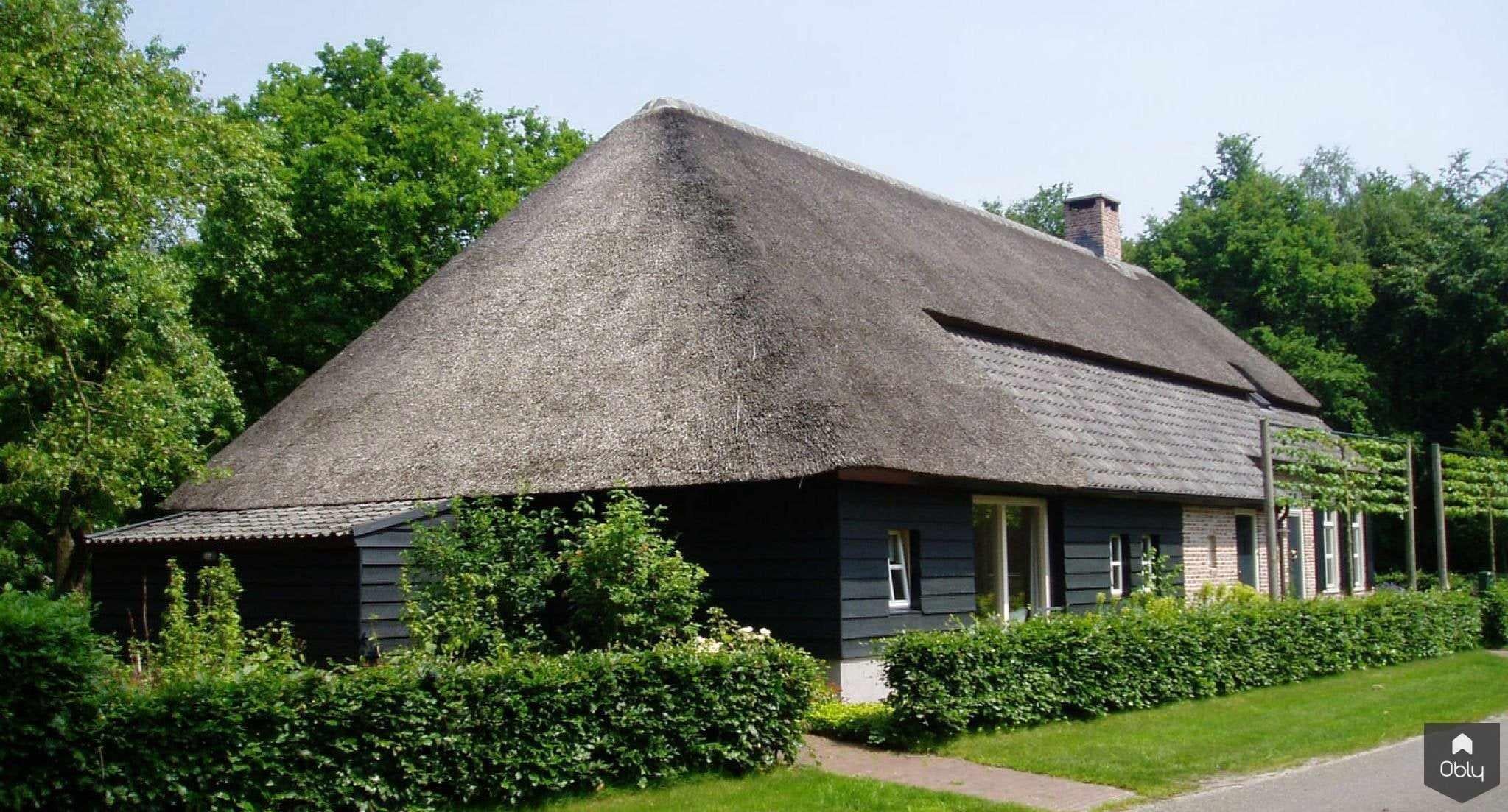 Nieuwbouw traditionele boerderij-Architectenbureau Drijvers Oisterwijk B.V.-alle,bakstenen gevel,Exterieur vrijstaand,landelijke architectuur,nieuwbouw,rieten dak,traditionele boerderij,vrijstaande woning-OBLY