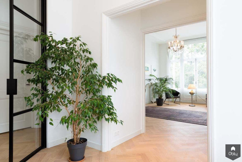Ontwerp en renovatie rijksmonumentaal herenhuis-FOAM Architecten-alle,Woonkamer-OBLY