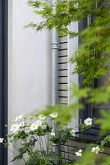 Renovatie aanbouw-D11 Architecten-Aanbouw-Meer daglicht door renovatie aanbouw -OBLY