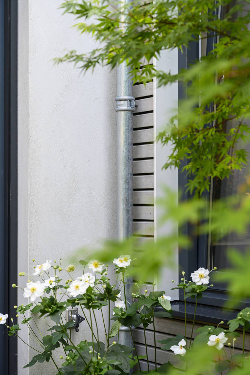 Renovatie aanbouw-D11 Architecten-Aanbouw-Meer daglicht door renovatie aanbouw -OBLY