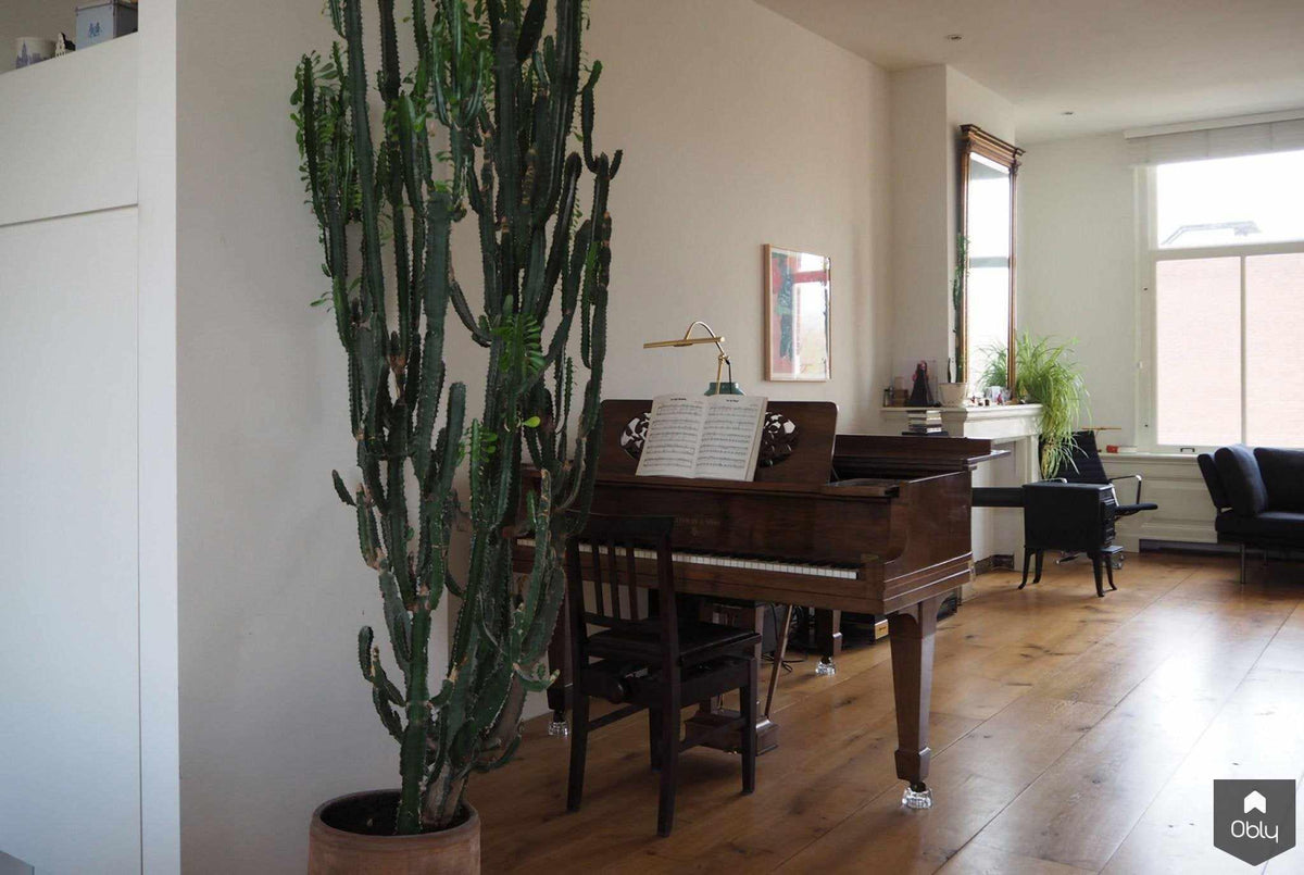 Residential Amsterdam-Jeroen de Nijs BNI-alle,amsterdam appartement,grachtenpand interieur,historische details,interieur renovatie,luxe appartement,modern interieur,open leefruimte,Woonkamer-OBLY