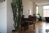 Residential Amsterdam-Jeroen de Nijs BNI-alle,Woonkamer-OBLY