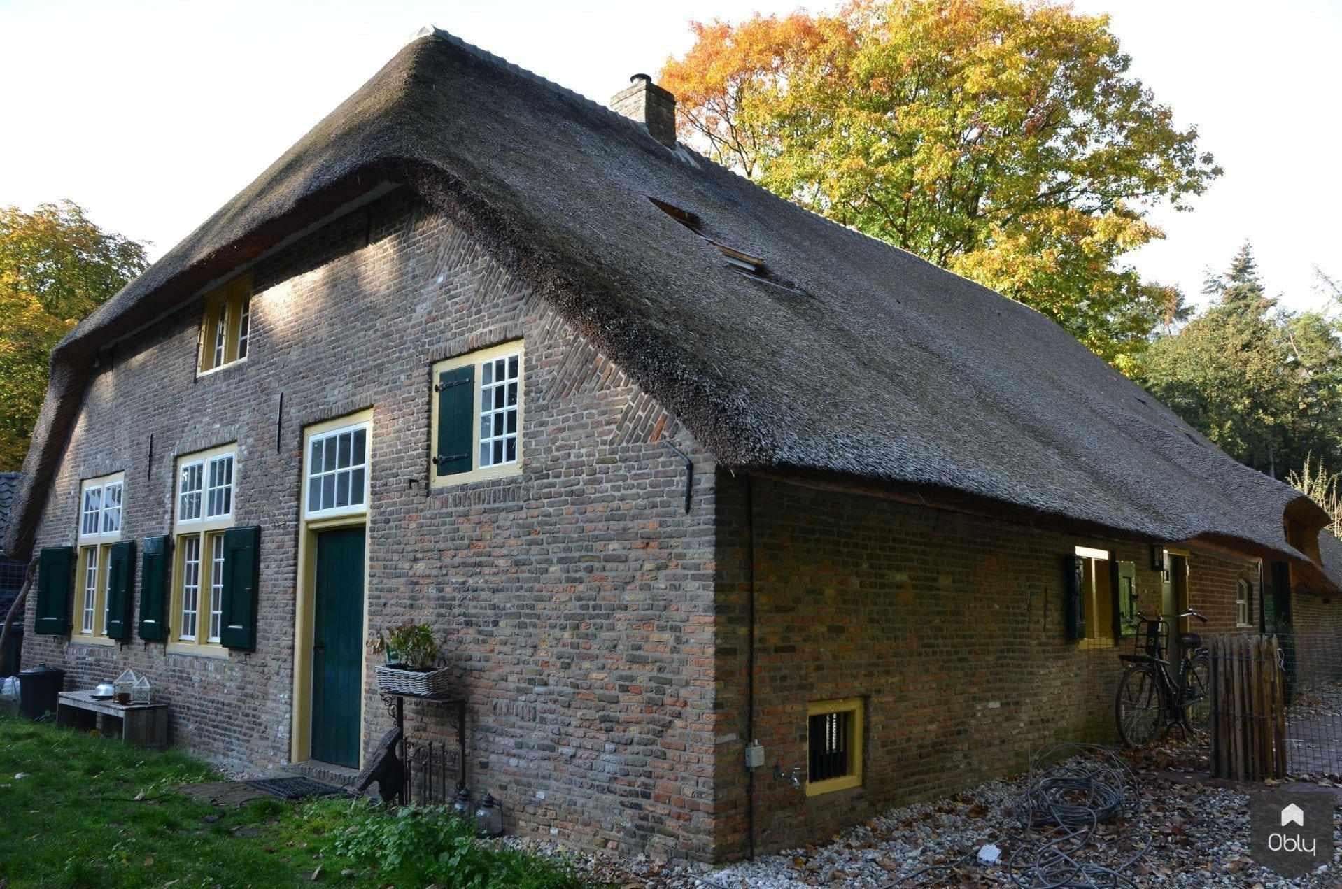Restauratie boerderij-Architectenbureau Drijvers Oisterwijk B.V.-Aanbouw,alle,bakstenen gevel,historische renovatie,karakteristiek gebouw,landelijke architectuur,restauratie boerderij,rieten dak-OBLY