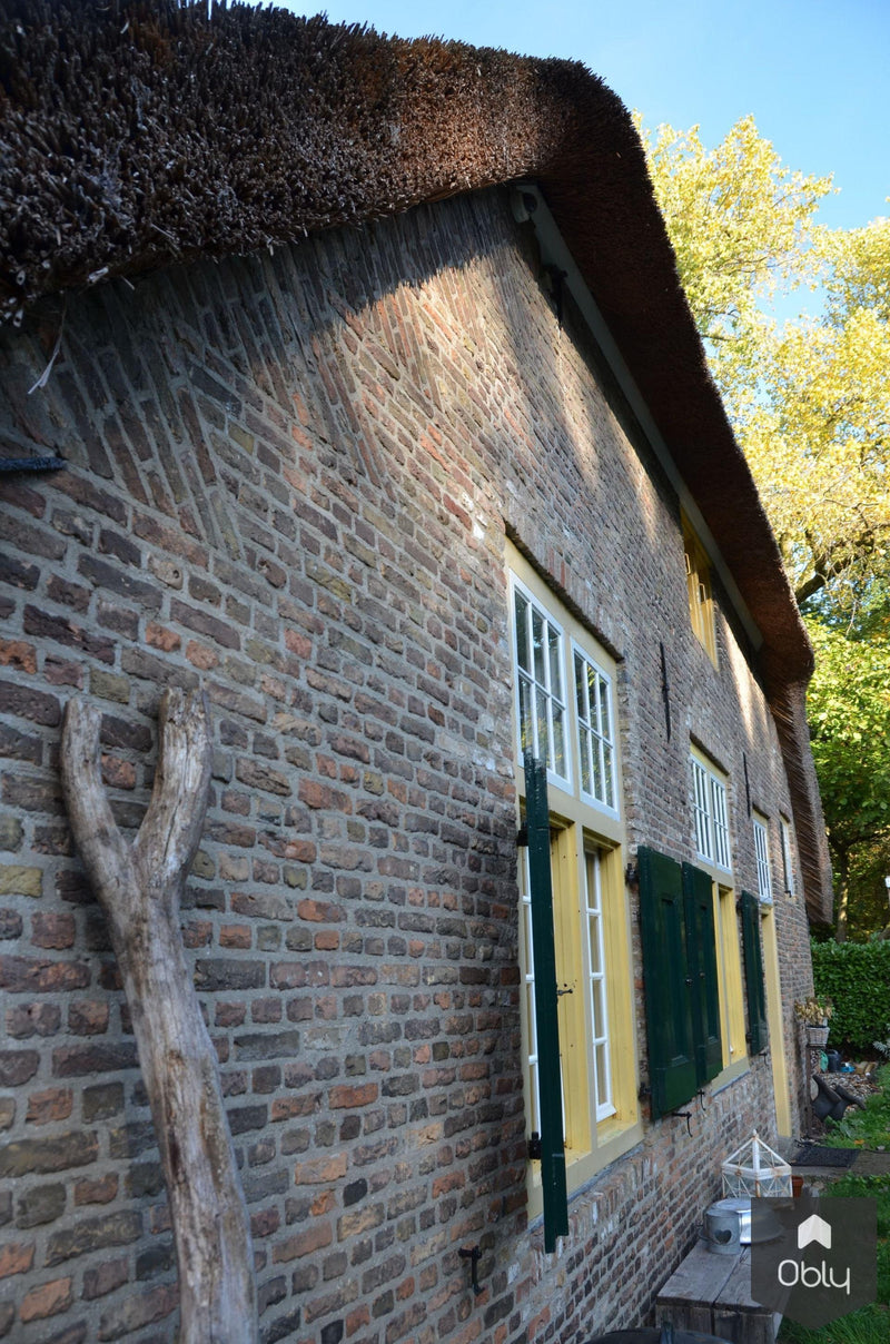 Restauratie boerderij-Architectenbureau Drijvers Oisterwijk B.V.-Aanbouw,alle-OBLY