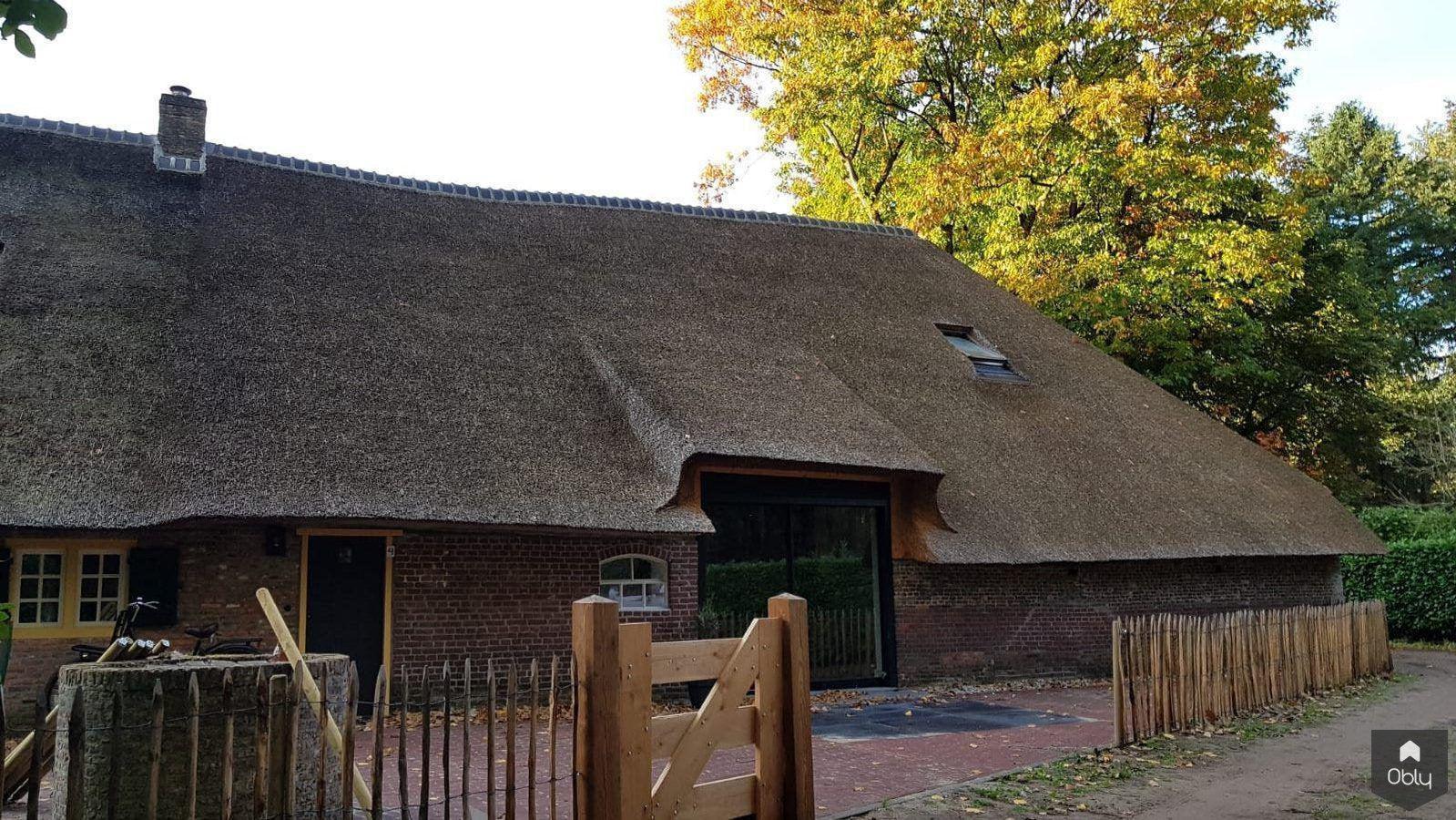 Restauratie boerderij-Architectenbureau Drijvers Oisterwijk B.V.-Aanbouw,alle,bakstenen gevel,historische renovatie,karakteristiek gebouw,landelijke architectuur,restauratie boerderij,rieten dak-OBLY