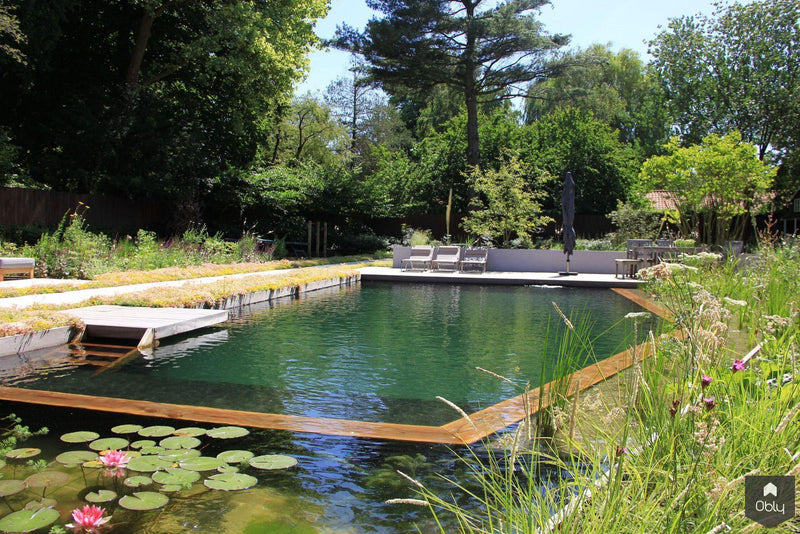 Sfeervolle en groene tuin-Jeroen Hamers Tuin- en Landschaparchitect-alle,Tuinen-OBLY