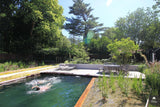 Sfeervolle en groene tuin-Jeroen Hamers Tuin- en Landschaparchitect-alle,Tuinen-OBLY