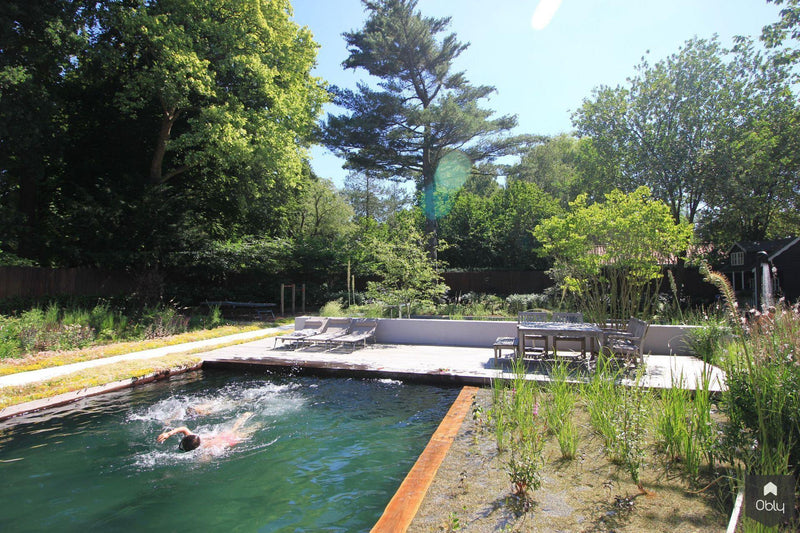 Sfeervolle en groene tuin-Jeroen Hamers Tuin- en Landschaparchitect-alle,Tuinen-OBLY