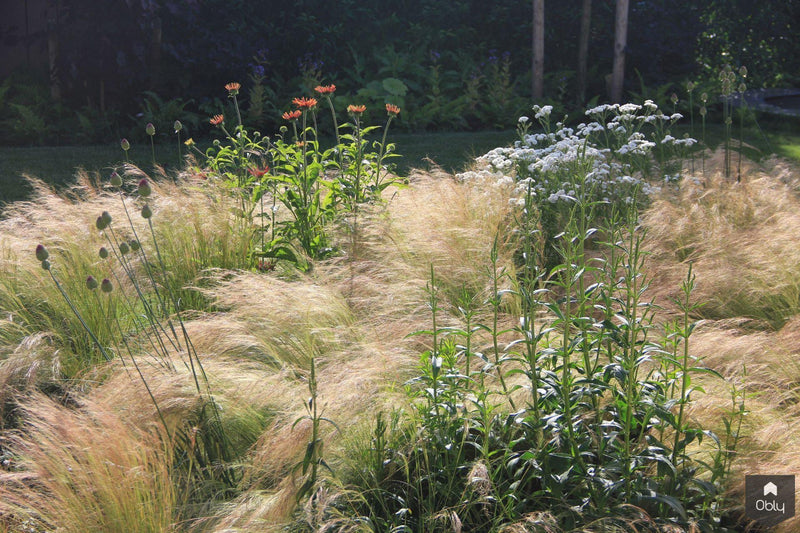 Sfeervolle en luxe tuin achter de duinen-Jeroen Hamers Tuin- en Landschaparchitect-alle,Tuinen-OBLY