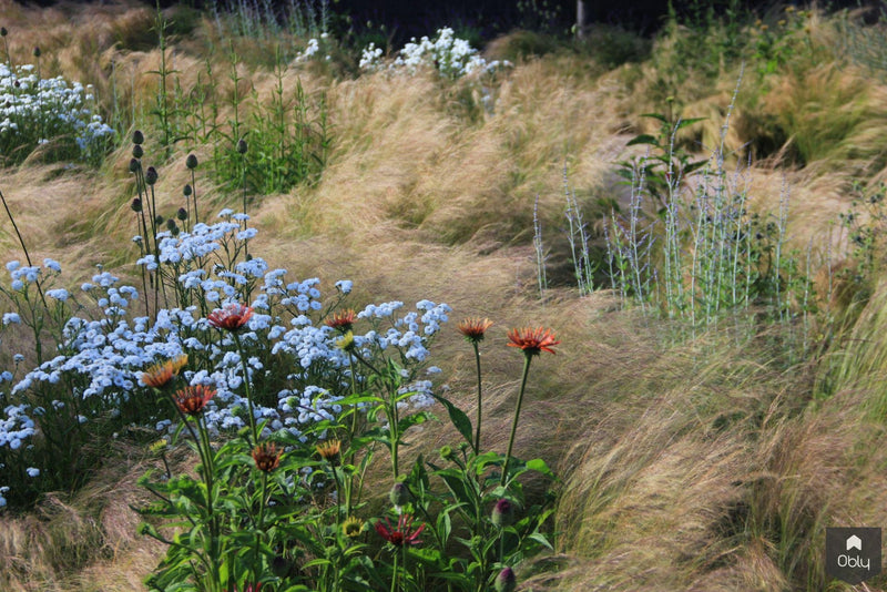 Sfeervolle en luxe tuin achter de duinen-Jeroen Hamers Tuin- en Landschaparchitect-alle,Tuinen-OBLY