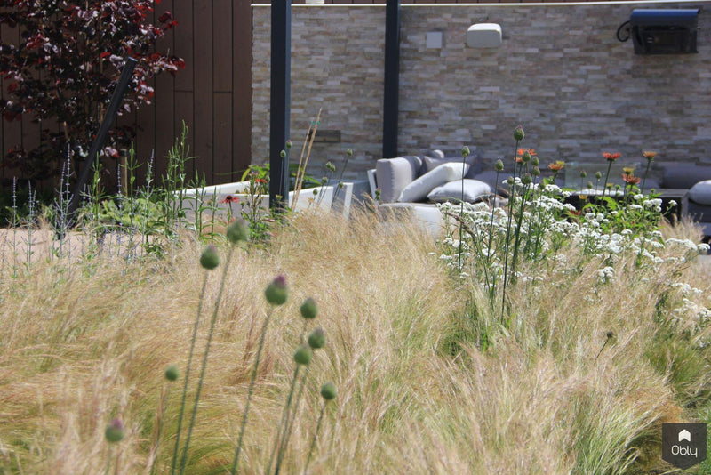 Sfeervolle en luxe tuin achter de duinen-Jeroen Hamers Tuin- en Landschaparchitect-alle,Tuinen-OBLY