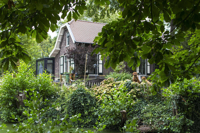 TRANSFORMATIE RIJKSMONUMENT-OBLY-OBLY