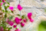 Terrastegels flagstones Bourgogne-Van den Heuvel & Van Duuren-Tuin-Terrastegels in Flagstones Bourgogne-OBLY