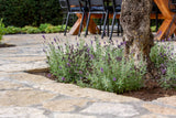 Terrastegels flagstones Bourgogne-Van den Heuvel & Van Duuren-Tuin-Terrastegels in Flagstones Bourgogne-OBLY
