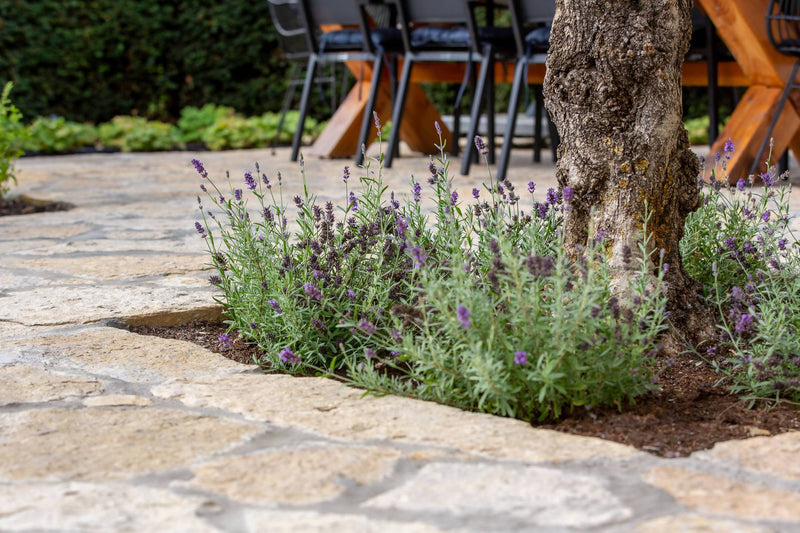 Terrastegels flagstones Bourgogne-Van den Heuvel & Van Duuren-Tuin-Terrastegels in Flagstones Bourgogne-OBLY