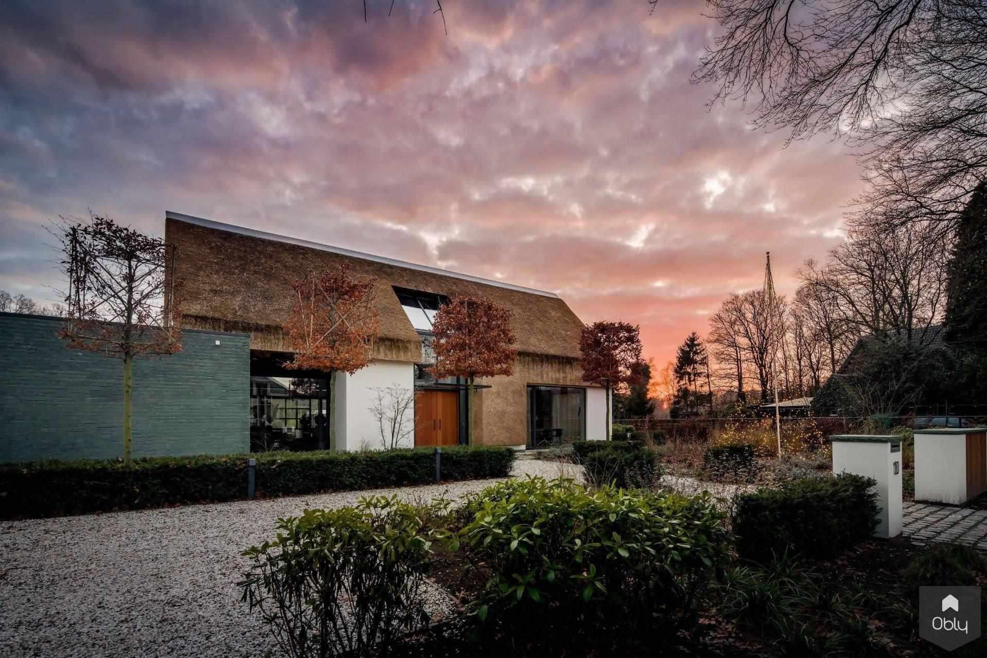 Totaalconcept rietgedekte villa - exterieur-Architectenbureau Drijvers Oisterwijk B.V.-alle,Exterieur vrijstaand,landelijke architectuur,luxe villa,moderne villa,rietgedekte villa,Vrijstaand,vrijstaande woning-Totaalconcept rietgedekte villa exterieur | OBLY.com-OBLY