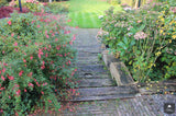 Tuin met hoogteverschil-Jeroen Hamers Tuin- en Landschaparchitect-alle,Tuinen-OBLY