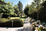 Tuinontwerp luxe villa-Molengraaf Tuinen-Tuin-Luxe villa tuinontwerp-OBLY
