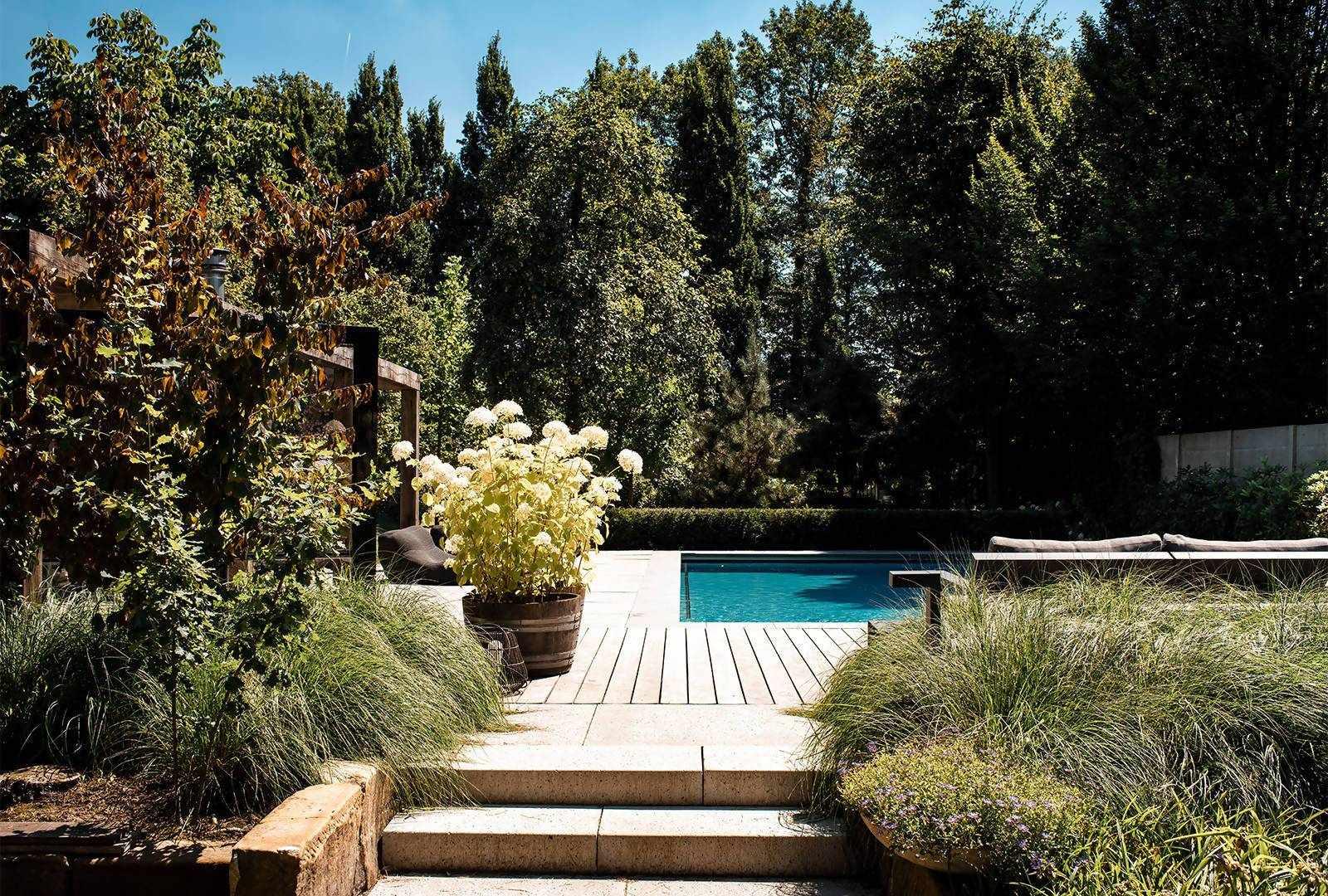 Tuinontwerp luxe villa-Molengraaf Tuinen-buitenlevenopniveau,exclusieftuinontwerp,loungeruimte,luxevilla,poolhouse,Tuin,tuinarchitectuur,villatuin,zwembadtuin-Luxe villa tuinontwerp-OBLY