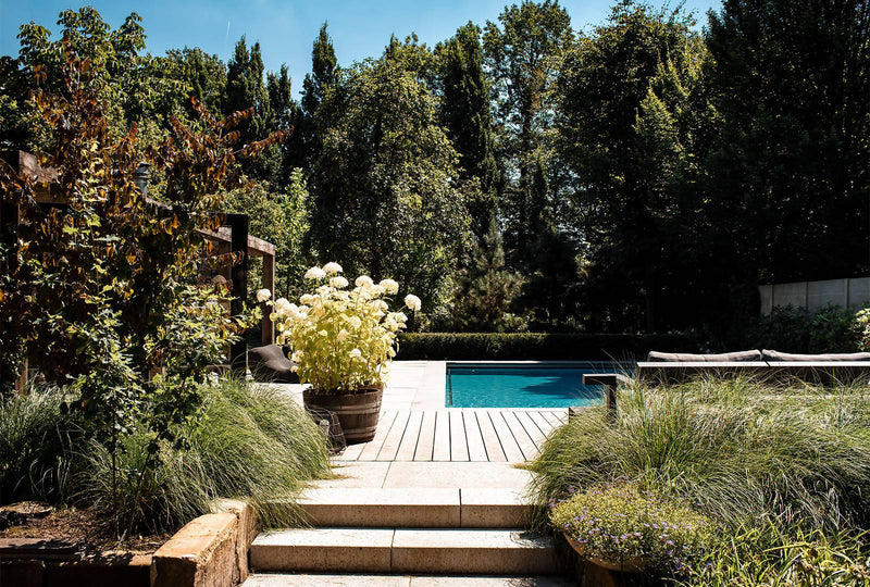 Tuinontwerp luxe villa-Molengraaf Tuinen-Tuin-Luxe villa tuinontwerp-OBLY