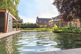 Tuinontwerp zwemvijver buitenkeuken-Kraal architecten-Tuin-Tuinontwerp met zwemvijver en buitenkeuken-OBLY