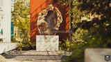 VILLA WELLNESSTUIN HENDRIK IDO AMBACHT (2014)-Erik van Gelder | Devoted to garden-alle,Exterieur-OBLY