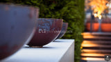 VILLATUIN MET ZWEMBAD ROTTERDAM (2012-2013)-Erik van Gelder | Devoted to garden-alle,Exterieur-OBLY