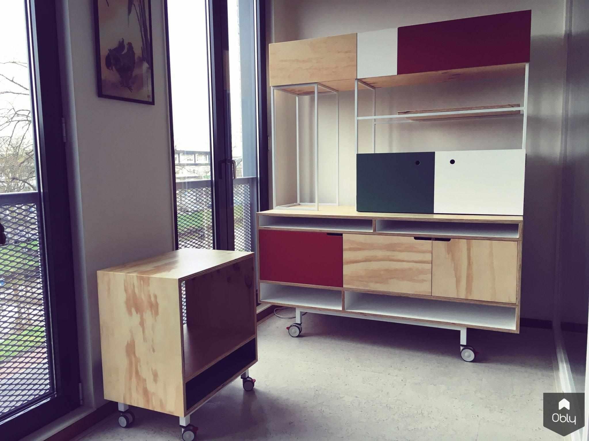 Verrijdbare opbergkast (RA100)-Studio Kocks-alle,custom made furniture,design kast,industriële kast,interieur design,kast op wielen,mobiele kast,multiplex kast,opbergkast op maat,Radiplex design,Studio Kocks,verrijdbare kast,verrijdbare opbergkast,vintage interieur,Woonkamer-OBLY