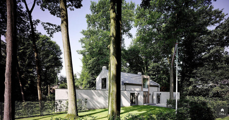 Villa Extension and Metamorphosis Marieke & Rob 2020-Bob Manders Architecture-alle,Exterieur vrijstaand-OBLY
