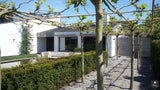 Villa Markdal-Grego Design Studio-alle,Projecten-OBLY