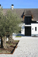 Villa met rieten dak-WOLFS ARCHITECTEN-contrast,Entree / hal / trap,hout,landelijke stijl,modern landhuis,rieten dak,stucwerk,villa-Villa met rieten dak-OBLY