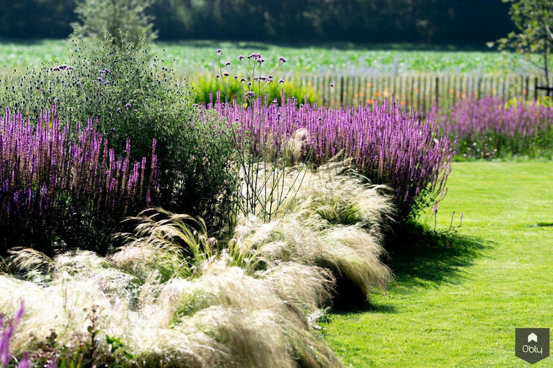 Vogelvriendelijke tuin met twee vijvers-Jeroen Hamers Tuin- en Landschaparchitect-alle,Tuinen-OBLY